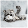 Кот Little Kitty and Catty, 15 см
